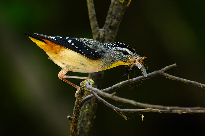 Wangaratta_Trip_2026-5407