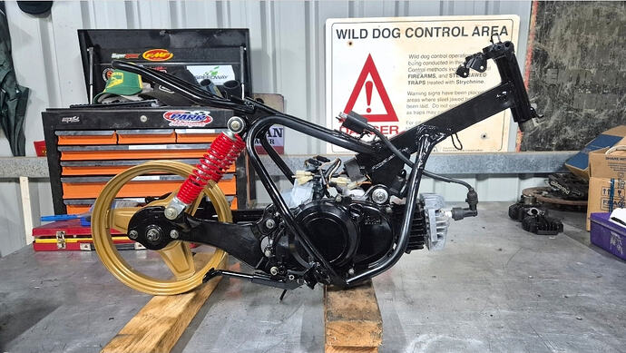 Screenshot_20260211_022618_Gallery