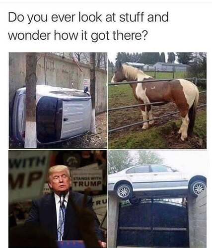828333314_28033976196298403_8172296735220999889_n