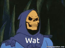 skeletor-wat