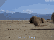 1000004356