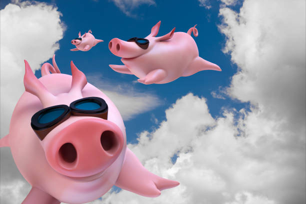istockphoto-674500740-612x612