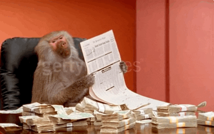 monkey