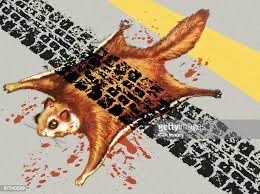 F273B48C-4BF3-4316-A5BD-2448AE51207A_4_5005_c