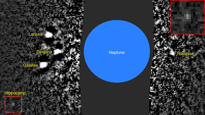 Hubble image showing inner moons of Neptune