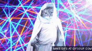 rave-cat