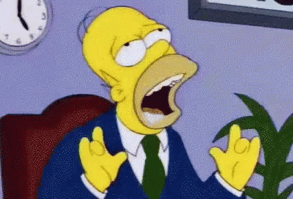 homer-simpsons-the-simpsons