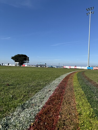 cfd488b858db0feb94bc2ce5508962d53372e72c_2_375x499