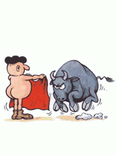 funny-man bull flash