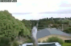 1000002542
