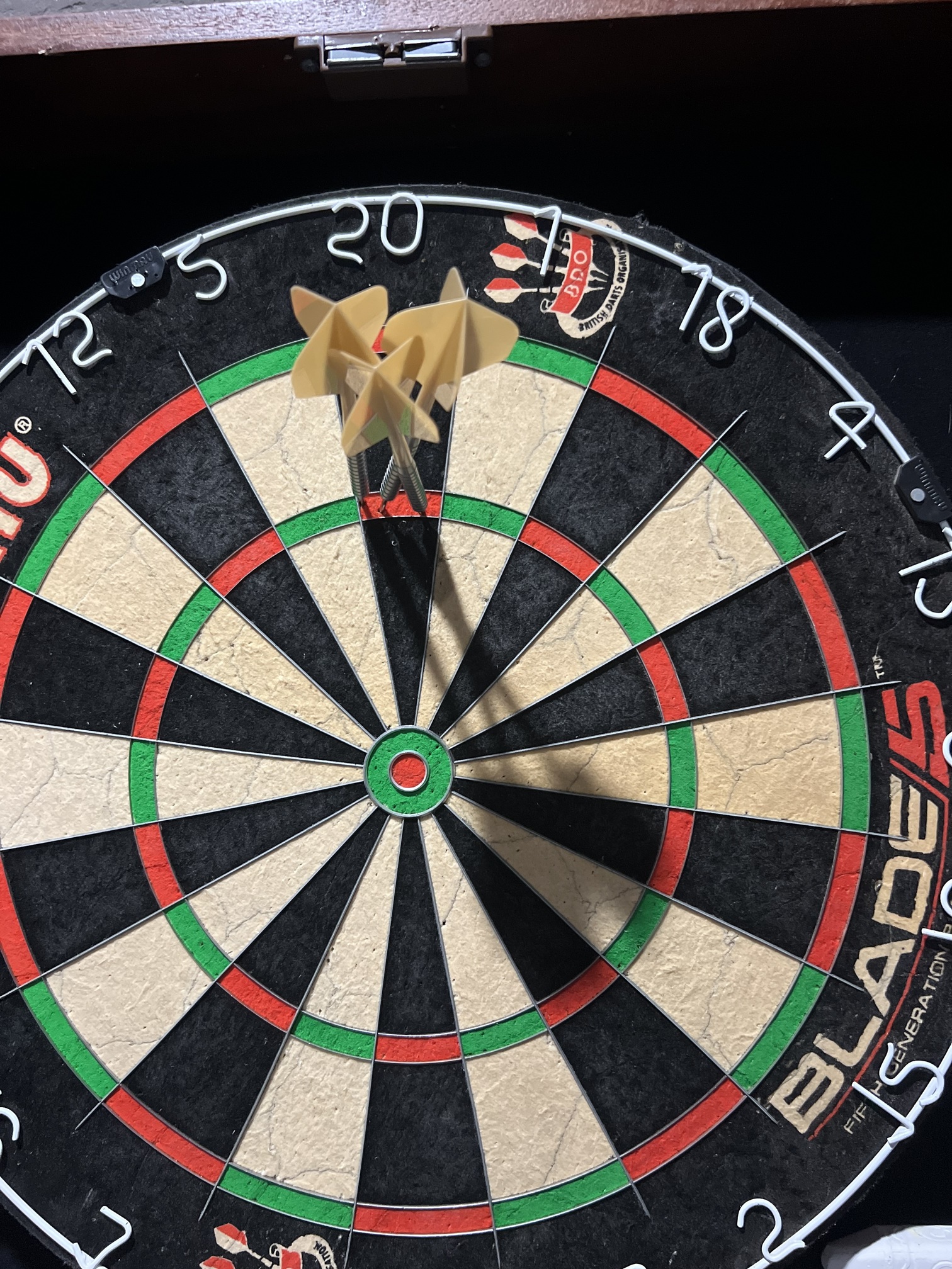 Darts: Throwing the Arrows… and Occasionally Hitting the Target - The ...